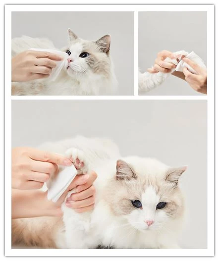 cat cat cat clean